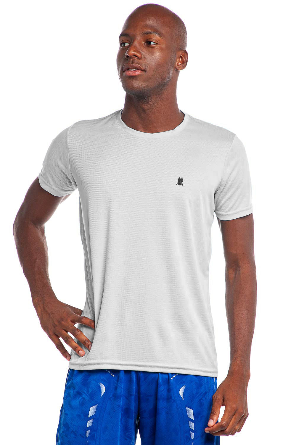 Camiseta Masculina Pw Sports Lisa Polo Wear Cinza Claro